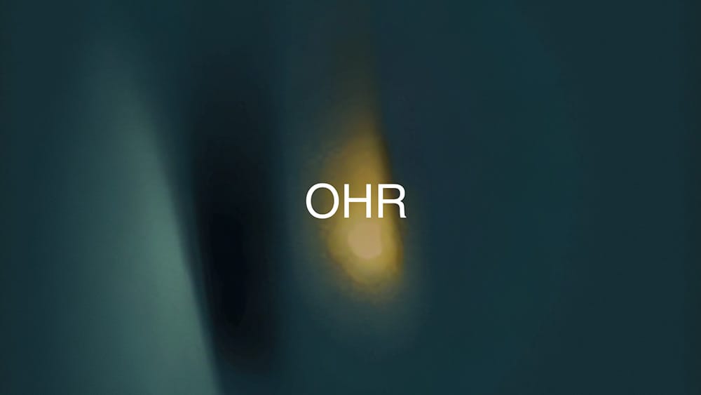 thumb_hb_ohr_mond_fluegel
