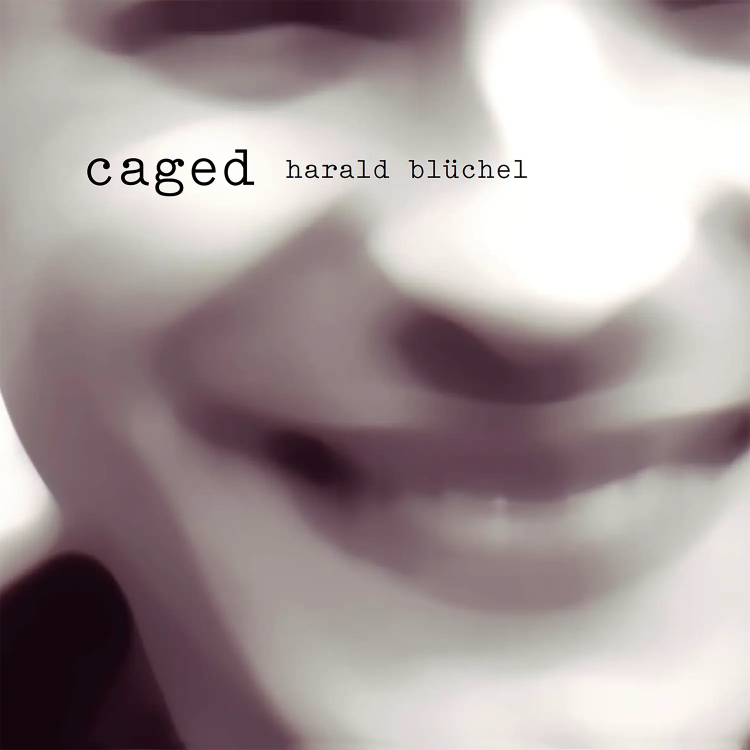 harald_bluechel_caged