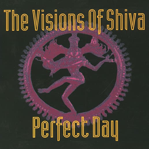 visions_of_shiva_perfect_day